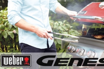 Weber Genesis Barbecue Comparison Review | Weber G